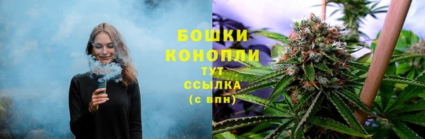 твердый Абаза