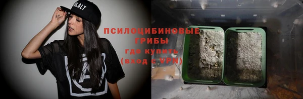 твердый Абаза